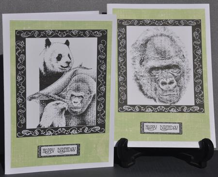 Monochrome Engangered Species by Barbara Stubbings