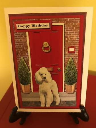 Standard Poodle Red Door Scene by Barbara Wuertz