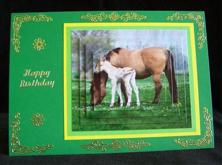 Gorgeous Little Foal with Mum by Barbara Andrews