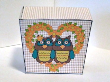 Cute Owls Gift Box by Barbara Hiebert