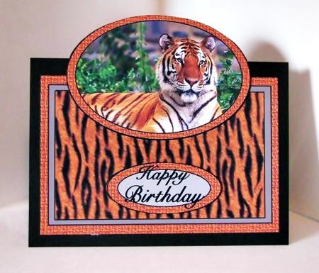 Tiger No Hole Over the Edge by Barbara Hiebert