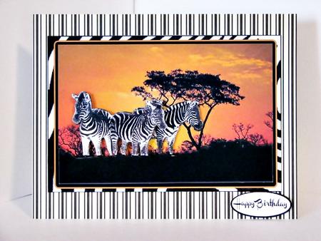 Zebra Crossing Sunset in Africa Card by Barbara Hiebert