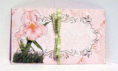 Iris Golden - Money Wallet by Barbara Hiebert