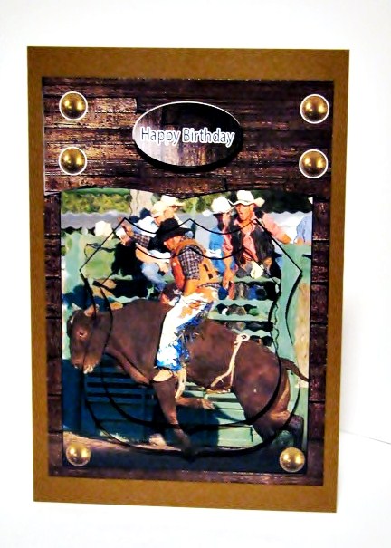 Rodeo Riding by Barbara Hiebert