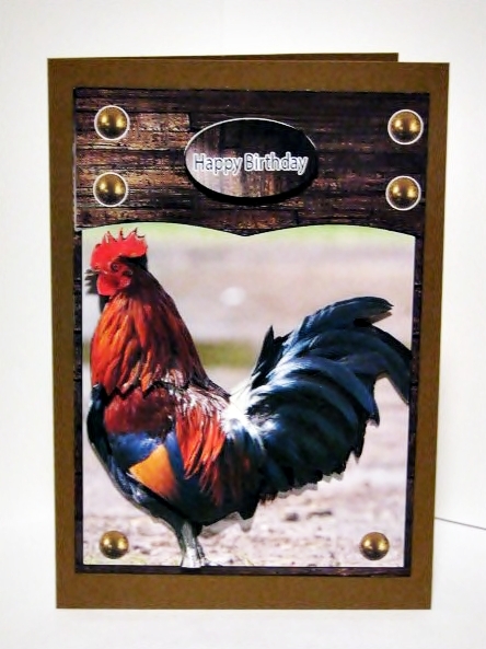 Rooster Cock of the Hen House by Barbara Hiebert