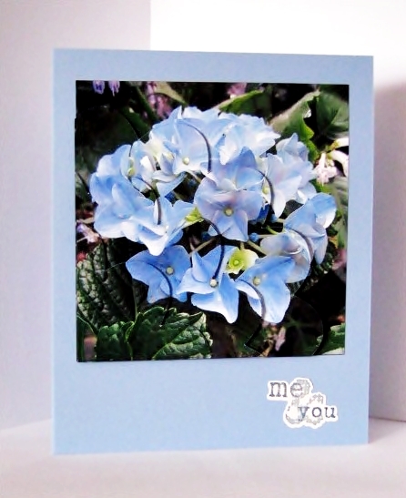 Hydrangea Flowers Shell Edged Corner Stacker by Barbara Hiebert
