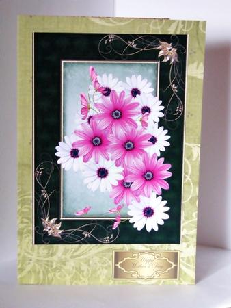 Floral Scroll Frames Set 1 by Barbara Hiebert