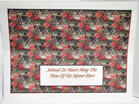 Dl Roses and Bike Insert by Barbara Hiebert