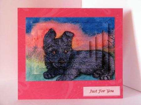 Laid Back Scottish Terrier Puppy Pyramage by Barbara Hiebert