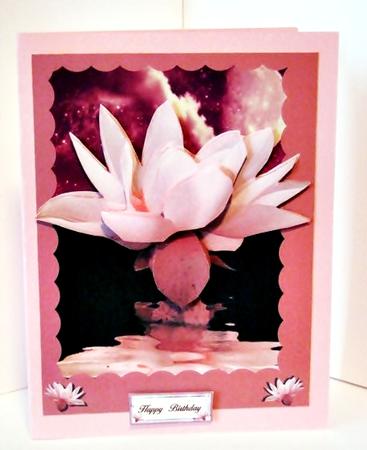 Water Lilly by Barbara Hiebert