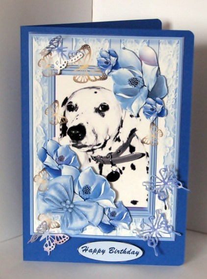All About a Beautiful Dalmation by Barbara Hiebert