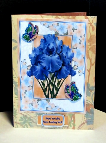 Blue Iris Get Well Card by Barbara Hiebert