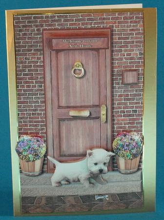 Westie Puppy on a Door Step by Bea Stevens