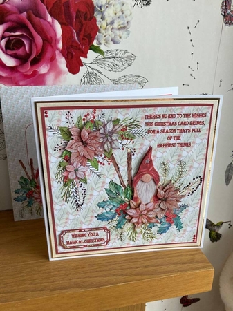Poinsettia and the Gnome by BECCY WILTON