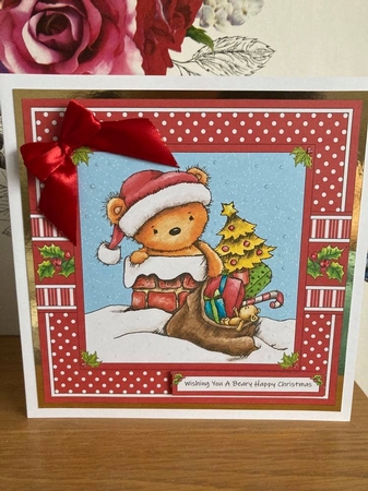 Santa Paws Is Coming To Town by BECCY WILTON
