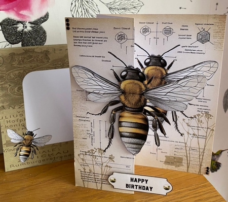 THE ENTYMOLOGISTS BEE OVER THE EDGE FOLDBACK BIRTHDAY OR LOVE CARD by BECCY WILTON