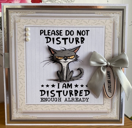 Funny cat decoupage 7x7ins topper 5 - REQUEST by BECCY WILTON