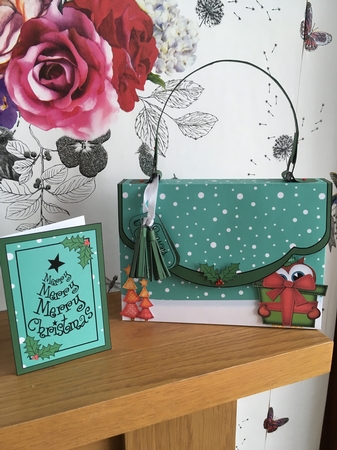 3D Little Hoot Owl Xmas Handbag Treat or Favour Box Kit by BECCY WILTON
