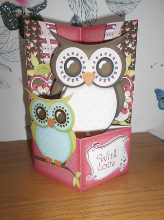 Pop Out Box Card Owl 2 by BECCY WILTON