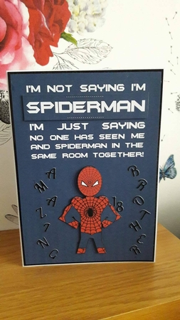 I'm Not Saying I'm Spiderman by BECCY WILTON