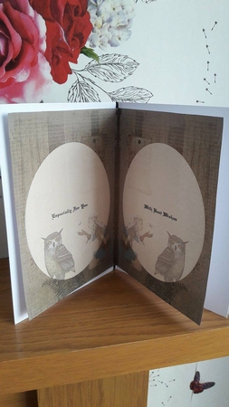 Fantasy Owl Insert by BECCY WILTON