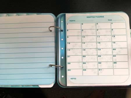 Snowflake Princess & Friends 8x8 Organiser Journal/Diary by BECCY WILTON