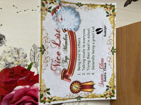 SANTAS AWARD CERTIFICATE FOR GOOD,  NAUGHTY OR NICE CHILDREN by BECCY WILTON