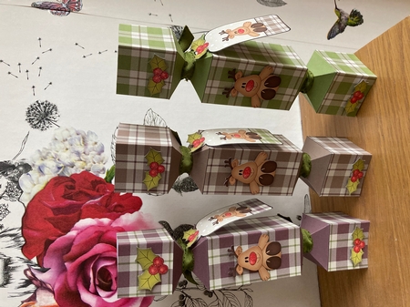 3D Christmas Cracker Boxes Tartan Penguin Little Rudy by BECCY WILTON