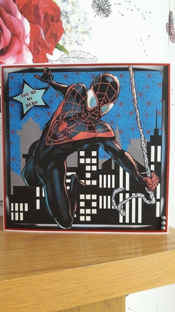 Spiderman Hero Favorites  Kit 7  by BECCY WILTON