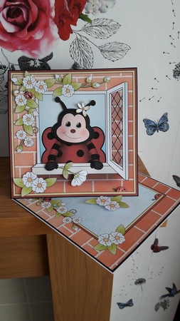 8 x 8 Mini Kit with 3d Decoupage - Through the Window - Little Ladybird Bugs by BECCY WILTON