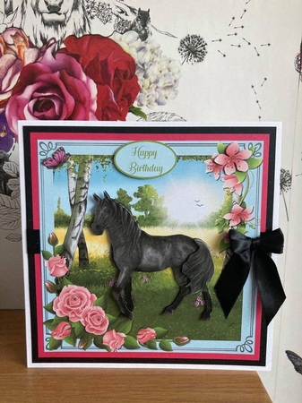 BLACK BEAUTY by BECCY WILTON