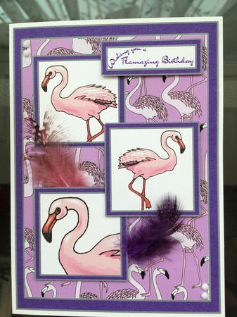 Happy Bird-day bright purple by BECCY WILTON