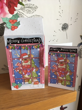 3D Christmas Phone Box Milk Carton Treat Box - Rudolph by BECCY WILTON