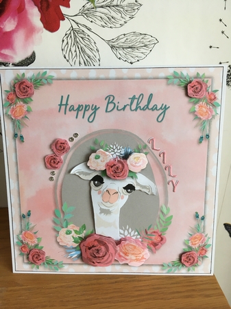 8X8 Birthday Llama  by BECCY WILTON