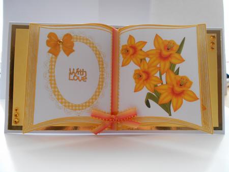 Open Book of Yellow Daffodils by BECCY WILTON