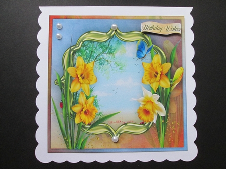 Spring Daffs and Butterfly by BELINDA ABRAHAM