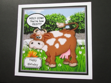 Holy Cow! Youre how OLD??? by BELINDA ABRAHAM