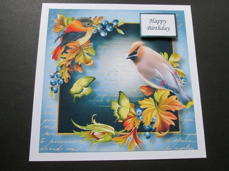Gorgeous Birds QUICK TOPPER Bumper Kit by BELINDA ABRAHAM