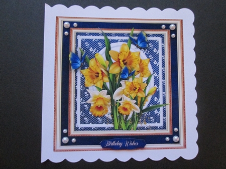 Gorgeous Daffodils and Butterflys  by BELINDA ABRAHAM