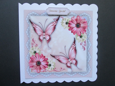 Beautiful Pink Butterflys and Daisys  by BELINDA ABRAHAM
