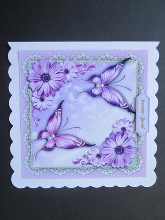Beautiful Lilac Butterflys and Daisys  by BELINDA ABRAHAM