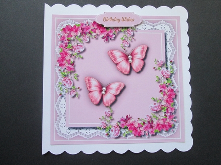 Pink Rhapsody on Lace by BELINDA ABRAHAM