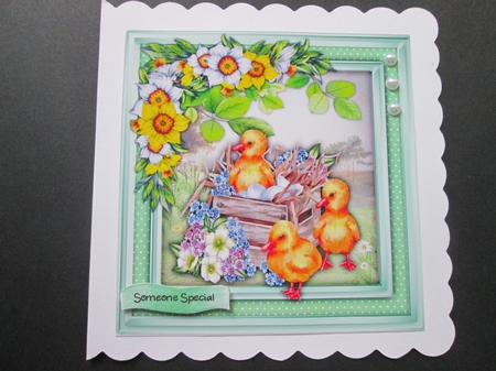 Ducks in the Nest Box by BELINDA ABRAHAM