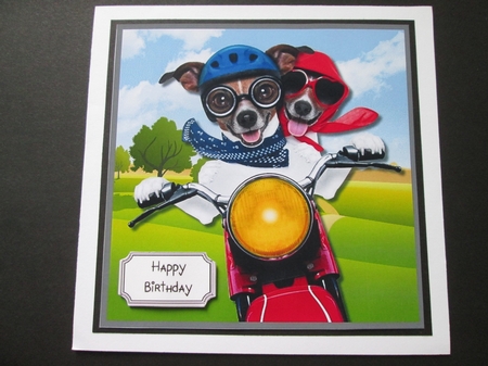Dogs on Scooter Birthday by BELINDA ABRAHAM