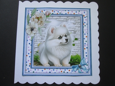  6, Beautiful 8x8 Dog Cards  by BELINDA ABRAHAM