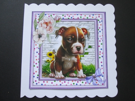  6, Beautiful 8x8 Dog Cards  by BELINDA ABRAHAM