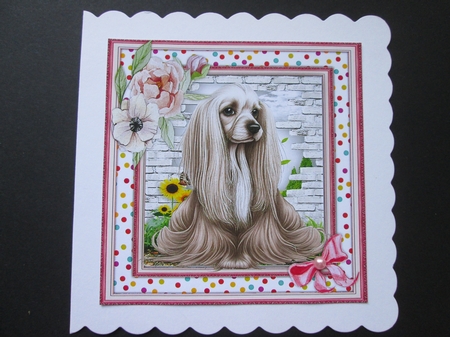  6, Beautiful 8x8 Dog Cards  by BELINDA ABRAHAM