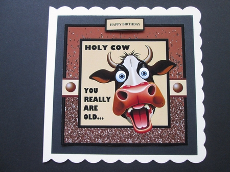 HOLY COW - YOU REALLY ARE OLD by BELINDA ABRAHAM