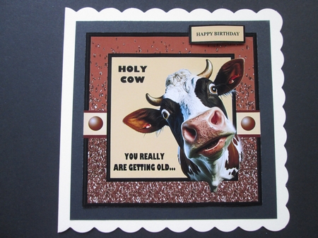 HOLY COW - YOU REALLY ARE GETTING OLD by BELINDA ABRAHAM