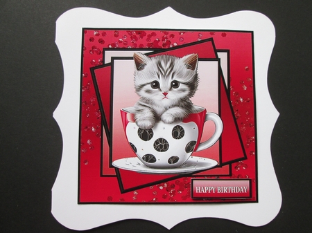 CUTE KITTY IN A CUP by BELINDA ABRAHAM
